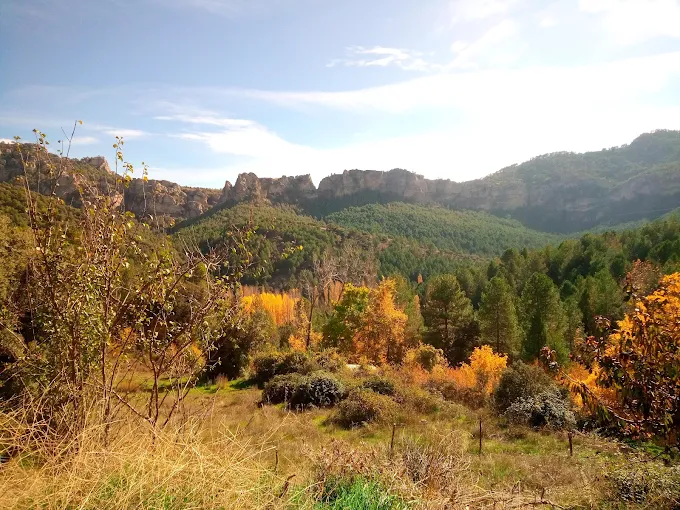 Entorno - Río Madera